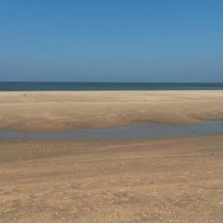 Vitamin Sea